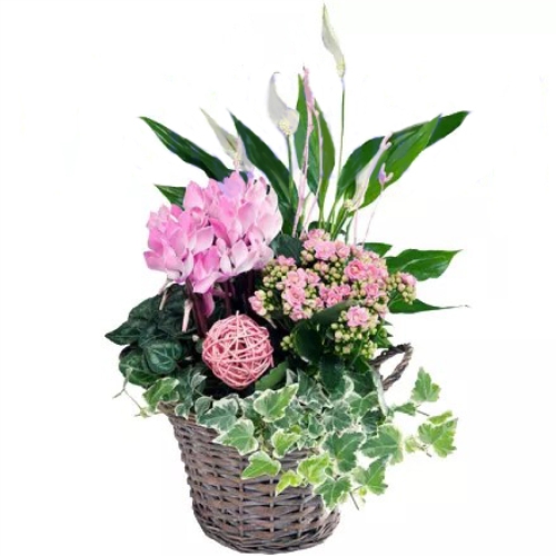 Basket Mix ― Floristik — flower delivery all over Ukraine