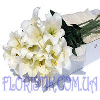 White lilies. Buy White lilies in the online store Floristik