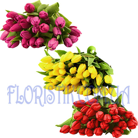 Bouquet of tulips 3. Buy Bouquet of tulips 3 in the online store Floristik