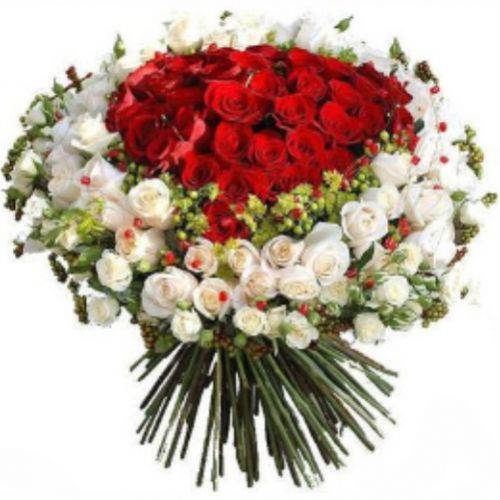101 White and Red Roses. Buy 101 White and Red Roses in the online store Floristik