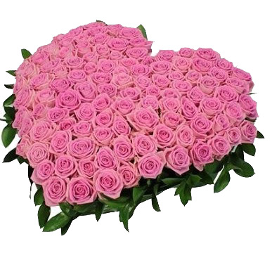 Pink heart premium. Buy Pink heart premium in the online store Floristik