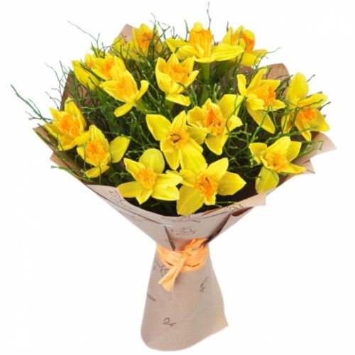 Narcissus Flowers. Buy Narcissus Flowers in the online store Floristik