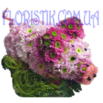 Piggy. Buy Piggy in the online store Floristik