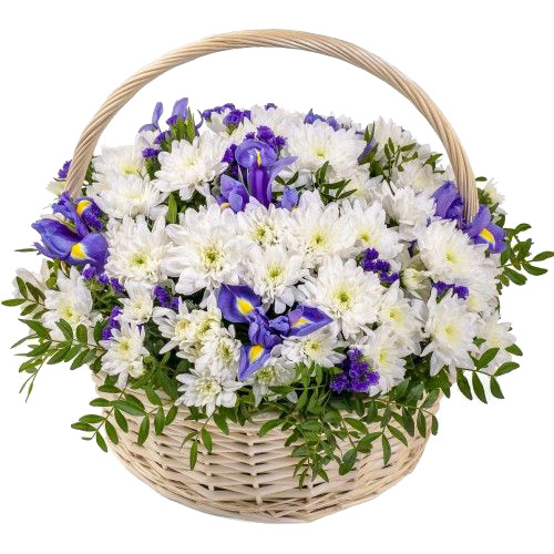 Basket of camomiles. Buy Basket of camomiles in the online store Floristik