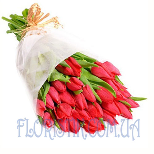 35 red tulips. Buy 35 red tulips in the online store Floristik