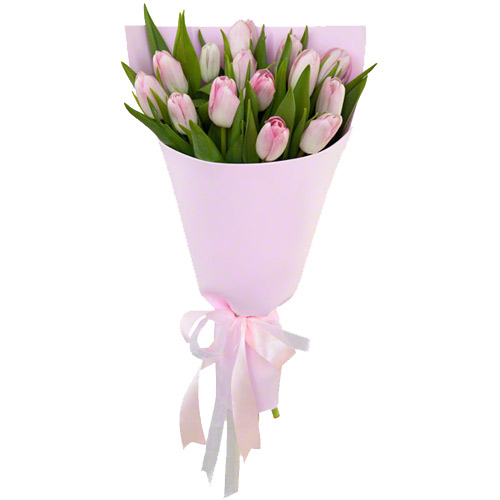 11 pink tulips. Buy 11 pink tulips in the online store Floristik