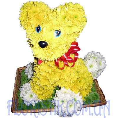 Puppy Kuzya. Buy Puppy Kuzya in the online store Floristik