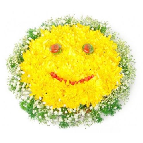 Sunshine. Buy Sunshine in the online store Floristik