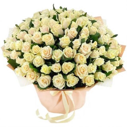 101 Creamy Rose. Buy 101 Creamy Rose in the online store Floristik