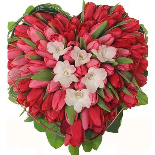 Heart of red tulips. Buy Heart of red tulips in the online store Floristik