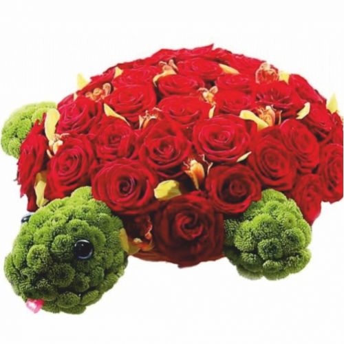 Turtle Cake. Buy Turtle Cake in the online store Floristik