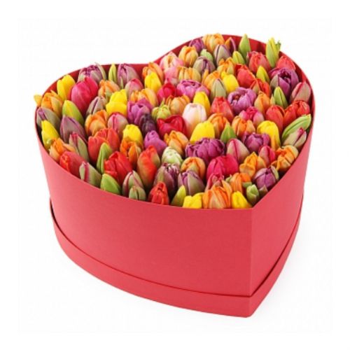 Rainbow heart. Buy Rainbow heart in the online store Floristik