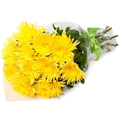 Bouquet of yellow chrysanthemums. Buy Bouquet of yellow chrysanthemums in the online store Floristik