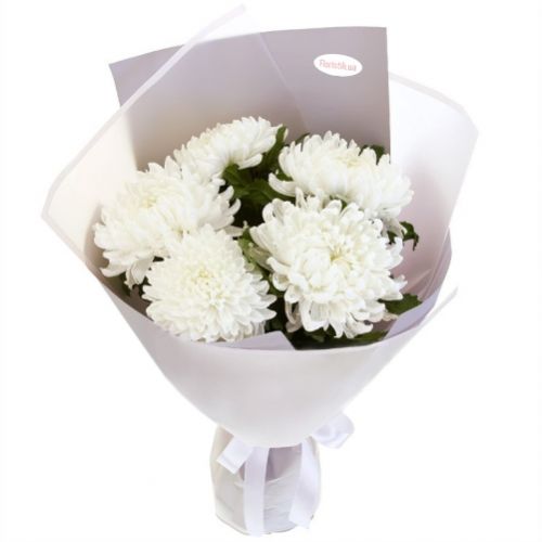 Bouquet of white chrysanthemums. Buy Bouquet of white chrysanthemums in the online store Floristik