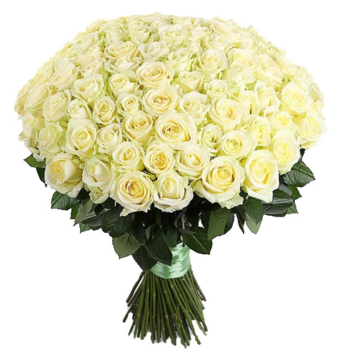 175 white roses. Buy 175 white roses in the online store Floristik