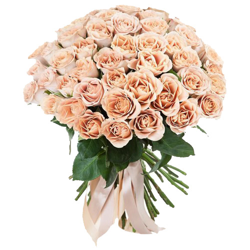 Flores. Buy Flores in the online store Floristik