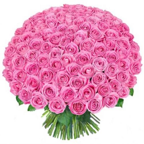 155 pink roses. Buy 155 pink roses in the online store Floristik