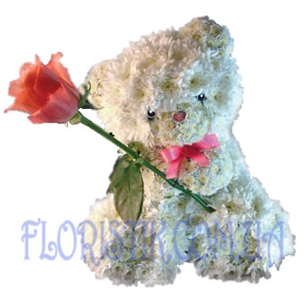 Affectionate kitten ― Floristik — flower delivery all over Ukraine