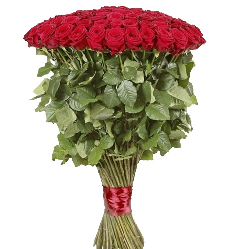 55 meter roses ― Floristik — flower delivery all over Ukraine
