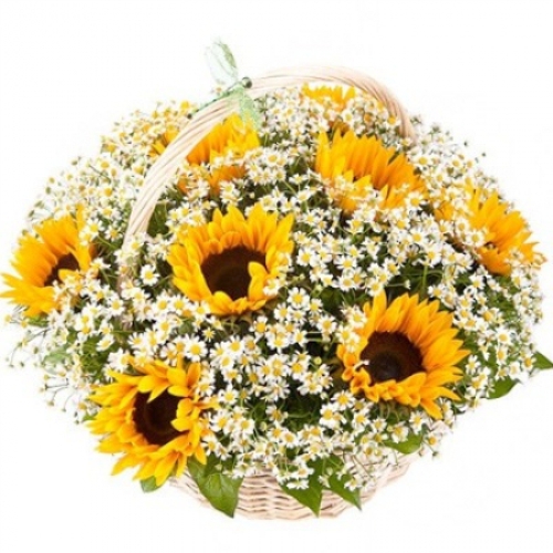 Sun in the basket ― Floristik — flower delivery all over Ukraine