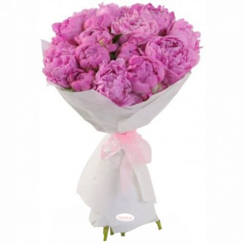 Bouquet of Peonies ― Floristik — flower delivery all over Ukraine