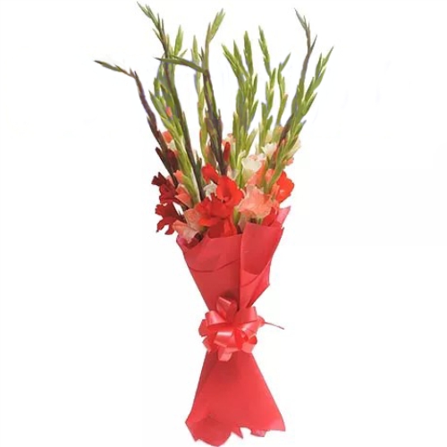 Gladiolus ― Floristik — flower delivery all over Ukraine