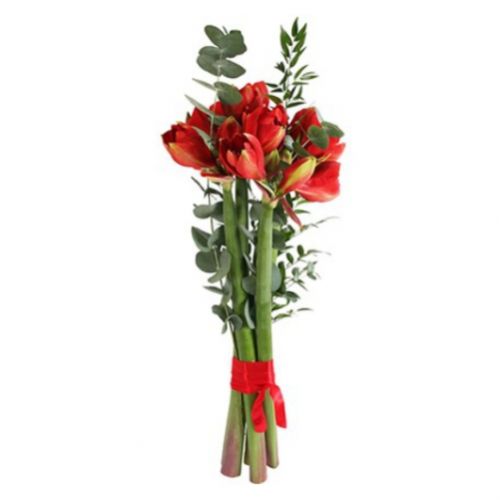 Bouquet of amaryllis ― Floristik — flower delivery all over Ukraine