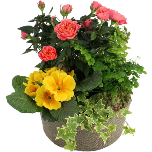 Basket of flowers №2 ― Floristik — flower delivery all over Ukraine