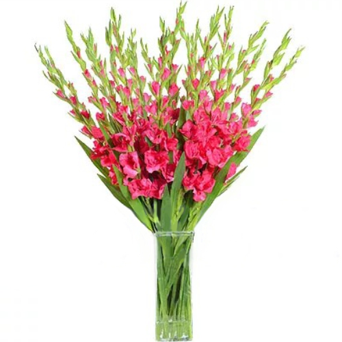 The color of topaz ― Floristik — flower delivery all over Ukraine