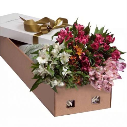 Box of 11 alstroemerias ― Floristik — flower delivery all over Ukraine