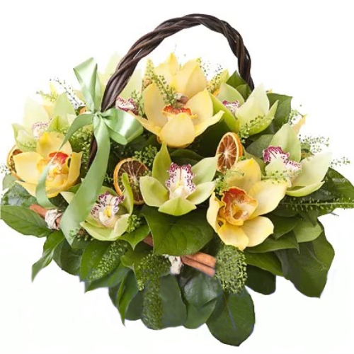 Shopping citrus orchids ― Floristik — flower delivery all over Ukraine