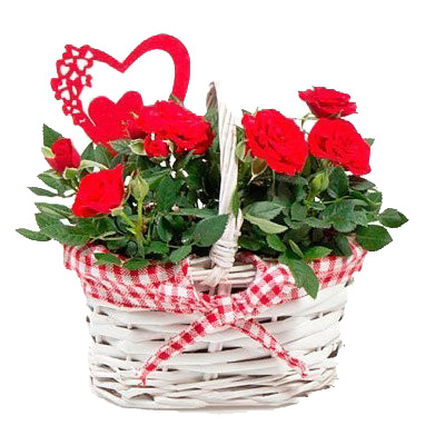 Basket of roses ― Floristik — flower delivery all over Ukraine