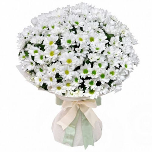 Bouquet of 51 white chrysanthemums ― Floristik — flower delivery all over Ukraine