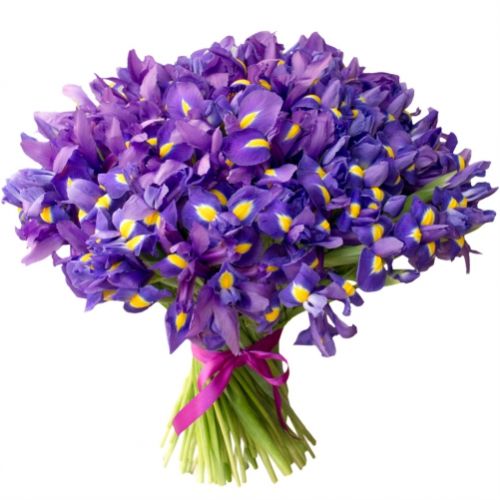 Bouquet Purple ― Floristik — flower delivery all over Ukraine