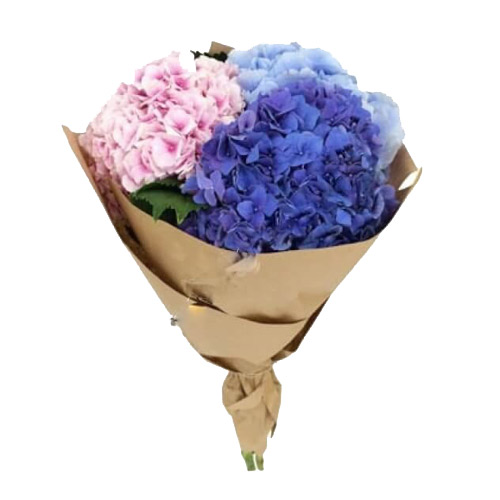 Bouquet of hydrangeas ― Floristik — flower delivery all over Ukraine