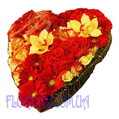 Heart of the tropics. Buy Heart of the tropics in the online store Floristik