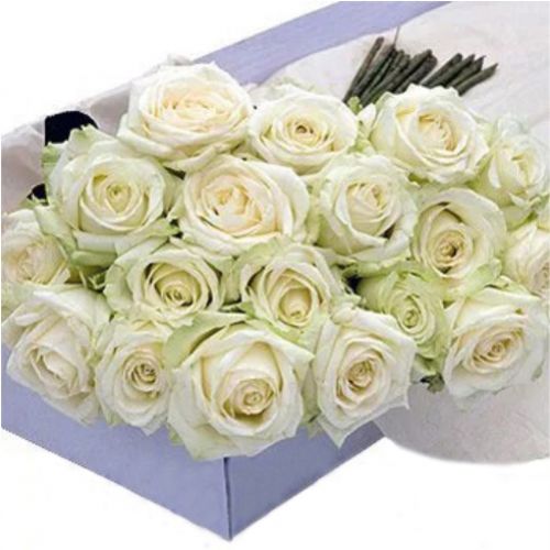 19 white roses. Buy 19 white roses in the online store Floristik