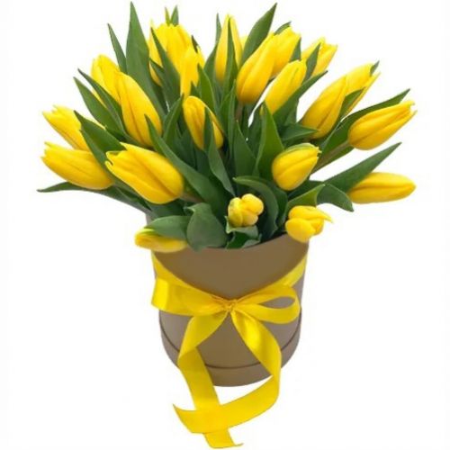 Box of 19 yellow tulips ― Floristik — flower delivery all over Ukraine