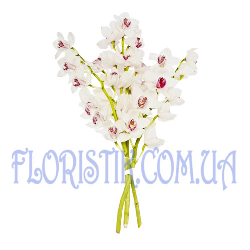 Bouquet Sweet November. Buy Bouquet Sweet November in the online store Floristik