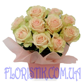 Sakura. Buy Sakura in the online store Floristik