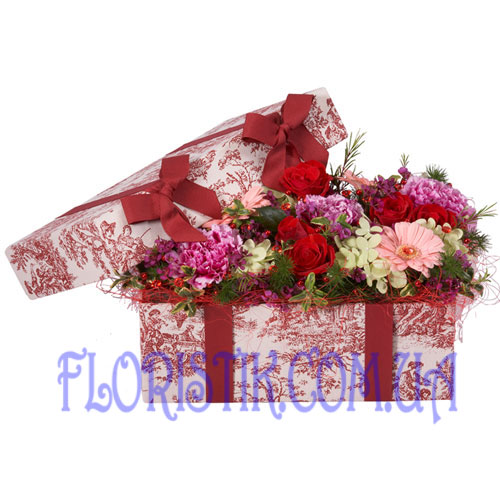 Surprise. Buy Surprise in the online store Floristik