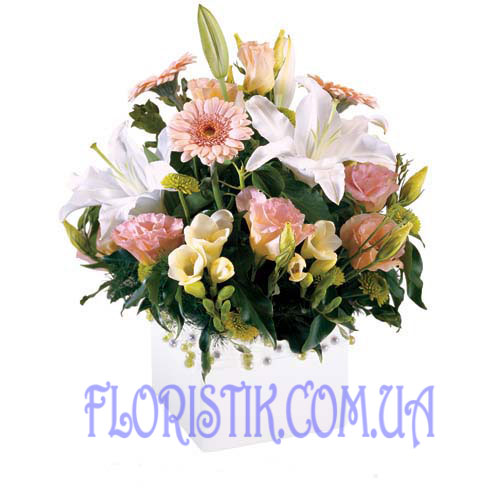 Spring Breeze. Buy Spring Breeze in the online store Floristik