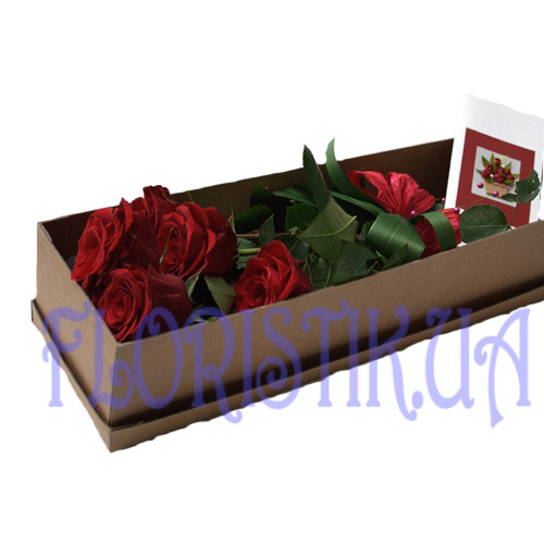 Box 5 festive roses ― Floristik — flower delivery all over Ukraine