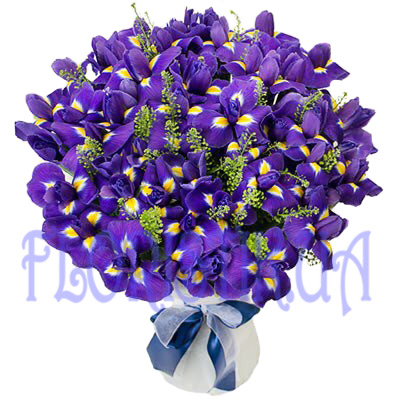 Bouquet Iris ― Floristik — flower delivery all over Ukraine
