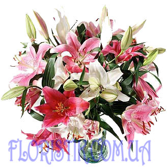 Flamingo. Buy Flamingo in the online store Floristik