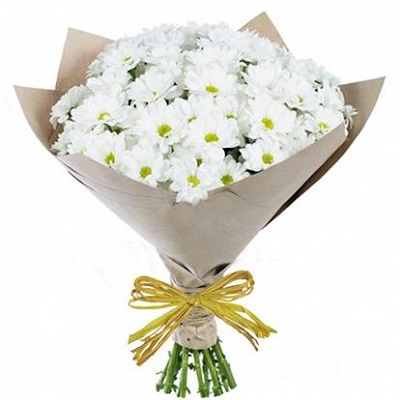Sweet Chamomile. Buy Sweet Chamomile in the online store Floristik