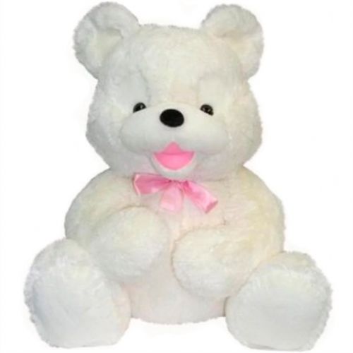 Bear is Lenya. Buy Bear is Lenya in the online store Floristik