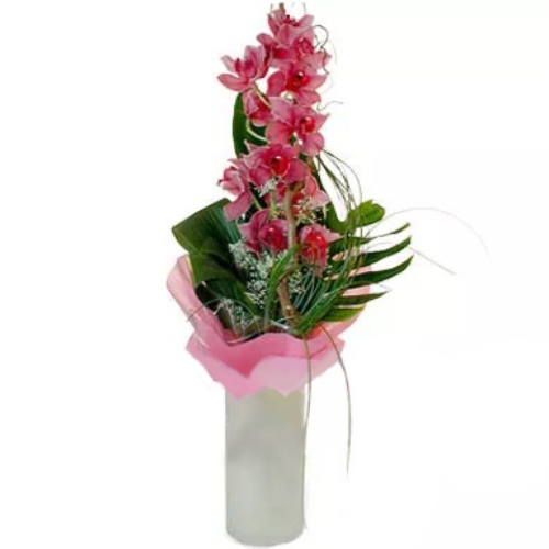 Pink Orchid. Buy Pink Orchid in the online store Floristik