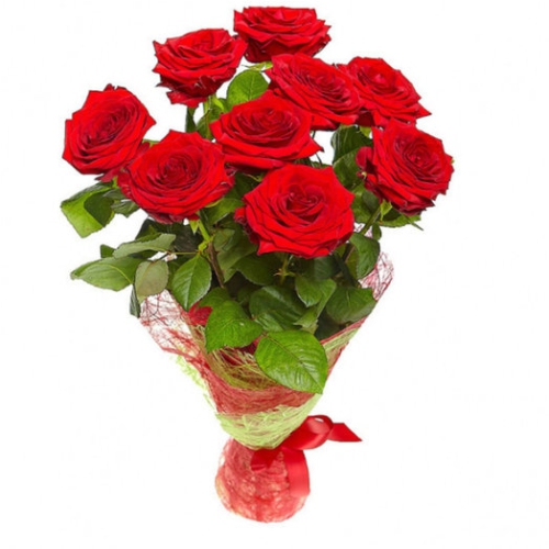 9 Red Roses. Buy 9 Red Roses in the online store Floristik