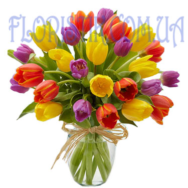 Spring Rainbow. Buy Spring Rainbow in the online store Floristik